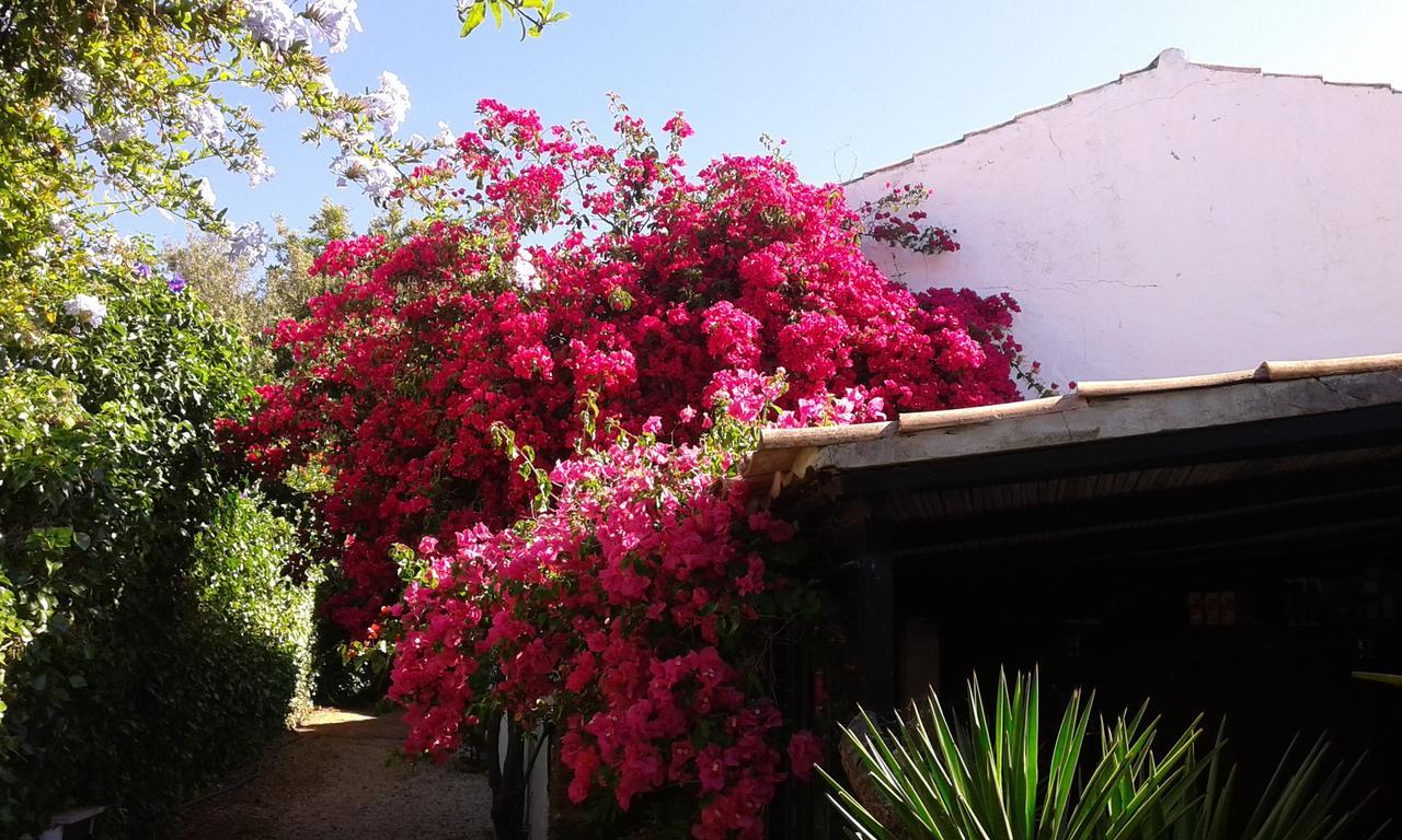 アルブフェイラ Quinta Das Floresヴィラ エクステリア 写真